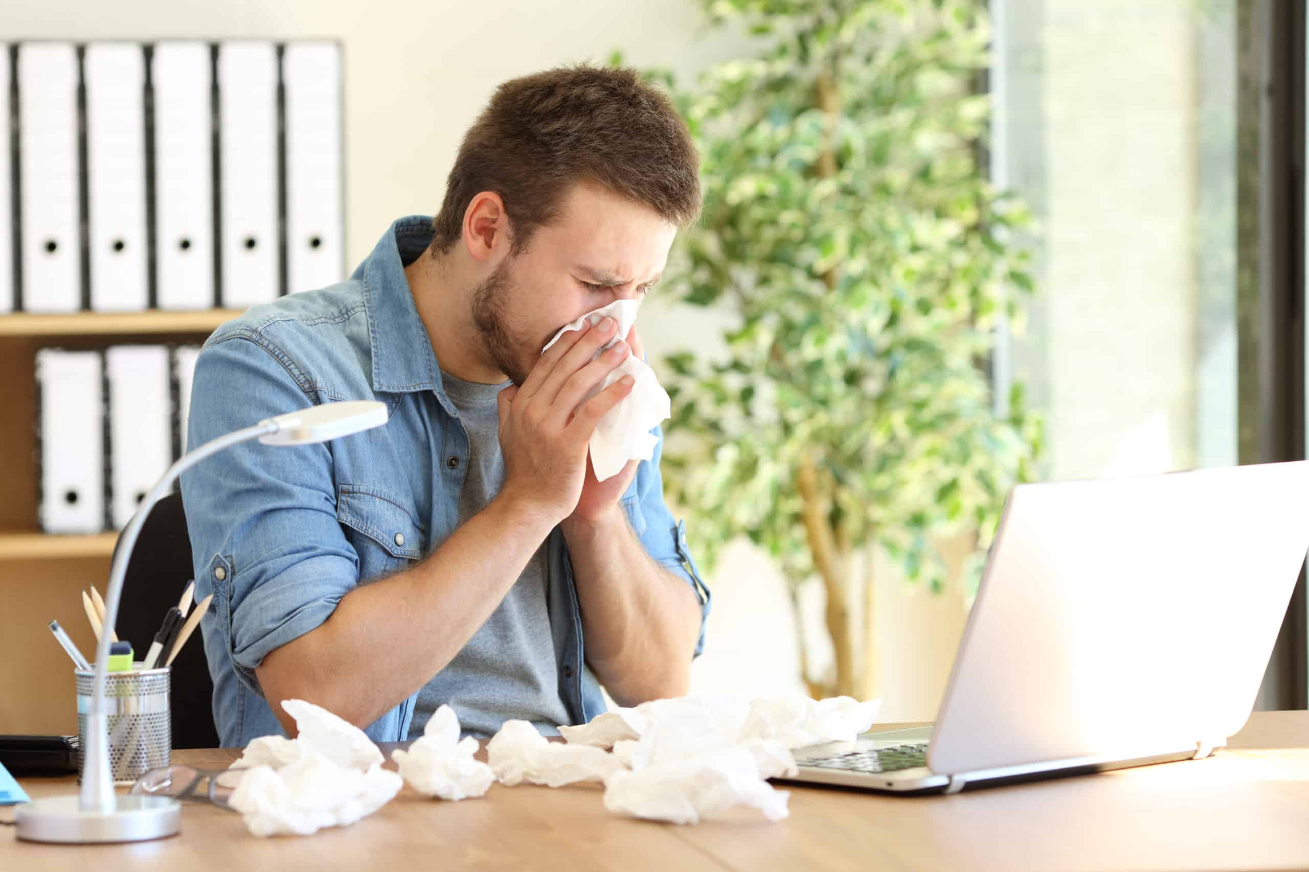 indoor air allergies